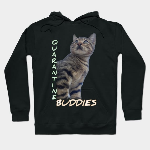 Quarantine Buddies Hoodie by aybstore